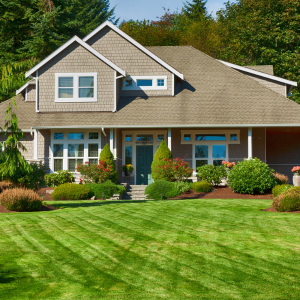 Lawn Care