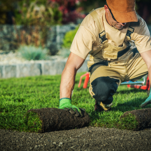 Sod Installation Sod Installation