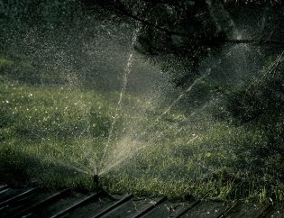 backyard sprinkler