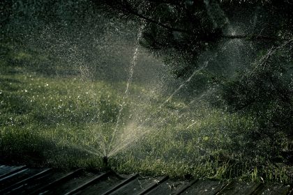 backyard sprinkler