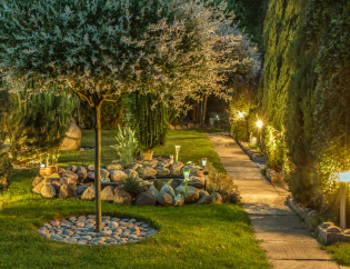 dunwoody-lighting-landscape