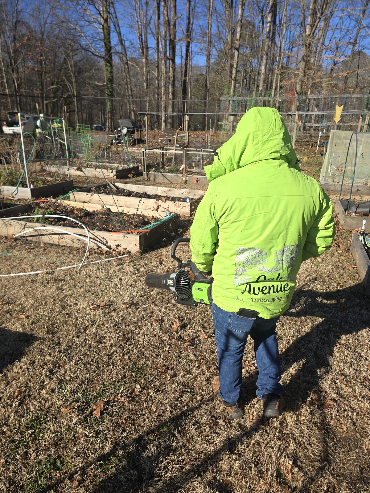 Oak Avenue Landscaping crew member in a branded jacket carrying battery-powered equipment past raised beds on a Dunwoody property in winter