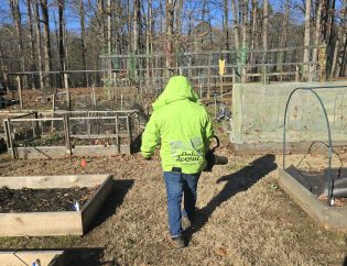 Oak Avenue Landscaping crew member walking between raised vegetable beds on a Dunwoody property in winter, dormant fescue underfoot